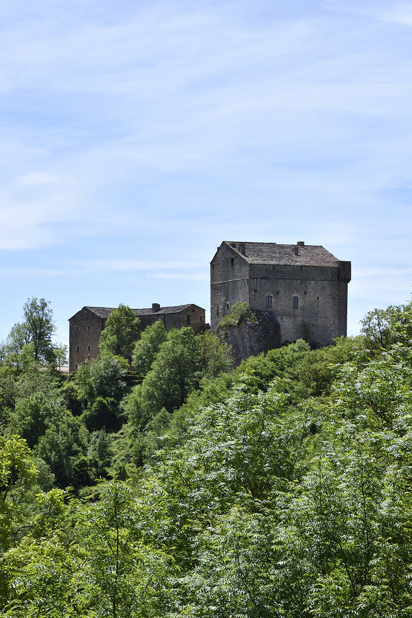 Chateau de Montaigut